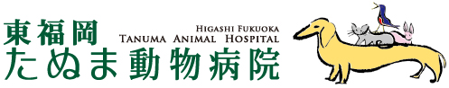 東福岡たぬま動物病院