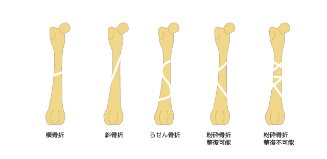 整形外科 東福岡たぬま動物病院