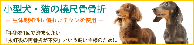 小型犬・猫の橈尺骨骨折