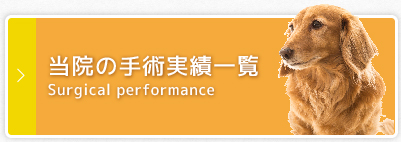 当院の手術実績一覧