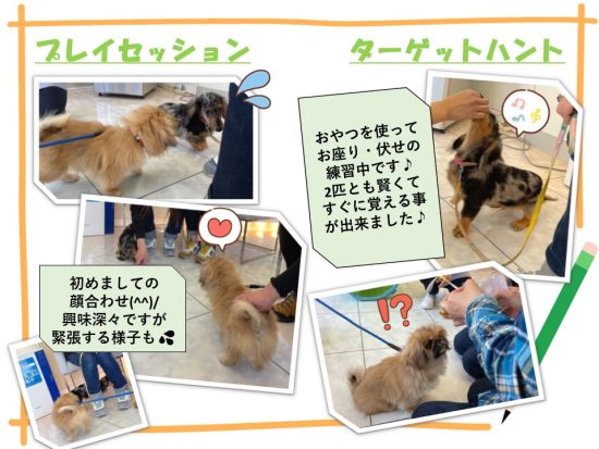 たぬま動物病院
