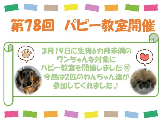 たぬま動物病院