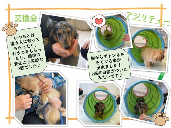 たぬま動物病院