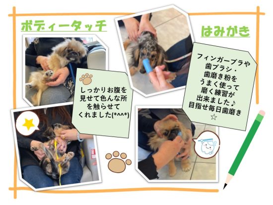 たぬま動物病院