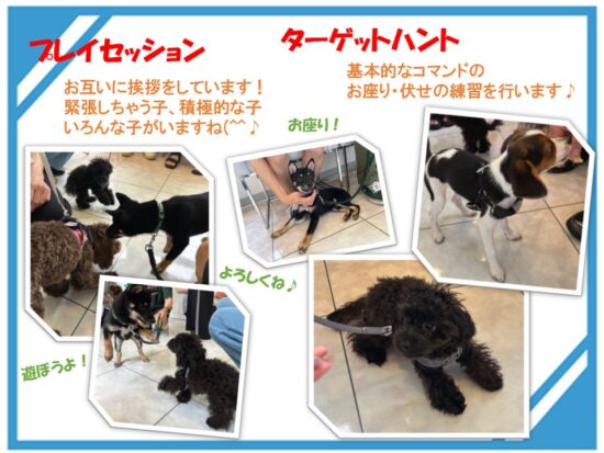 たぬま動物病院