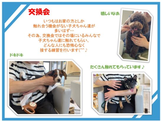 たぬま動物病院