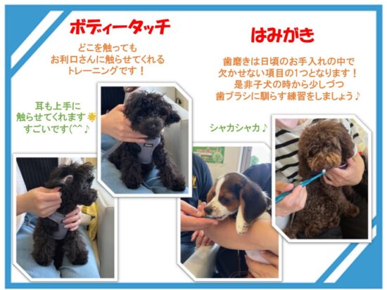 たぬま動物病院