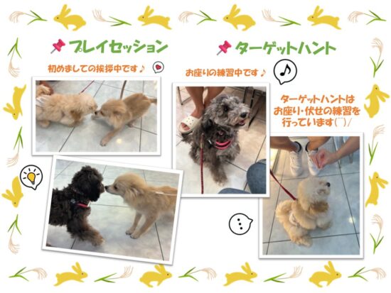 たぬま動物病院