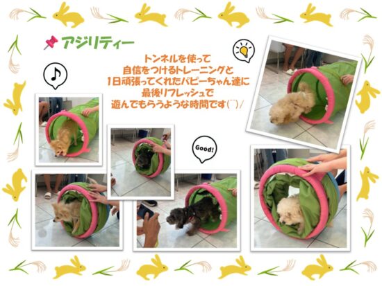 たぬま動物病院