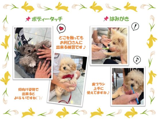 たぬま動物病院