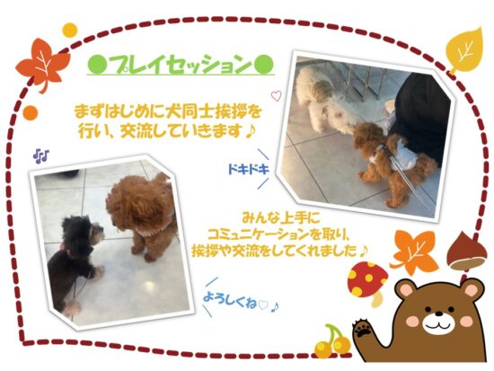 たぬま動物病院