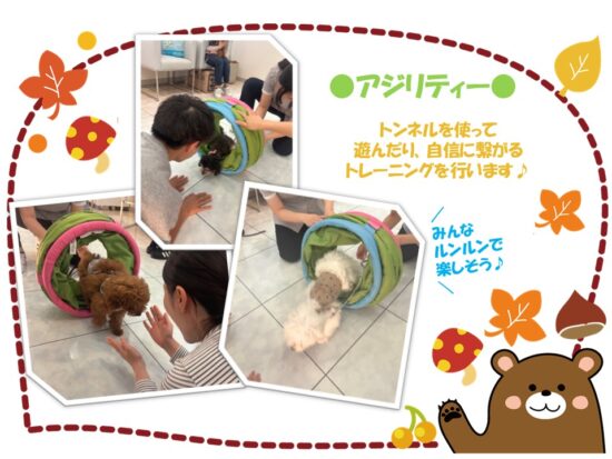 たぬま動物病院